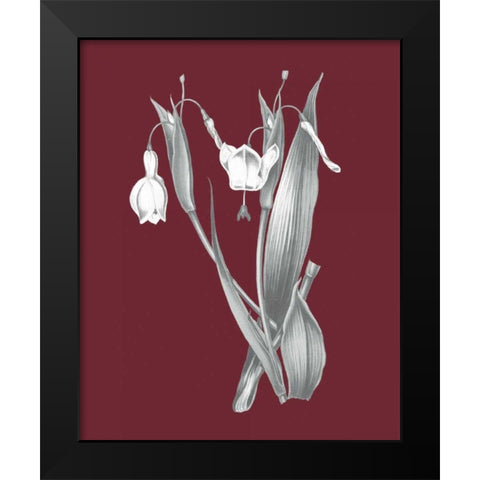 Pomegranate Botanical II Black Modern Wood Framed Art Print by Wild Apple Portfolio