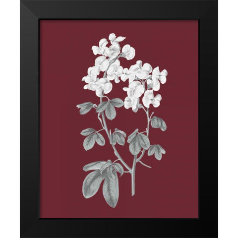 Pomegranate Botanical III Black Modern Wood Framed Art Print by Wild Apple Portfolio
