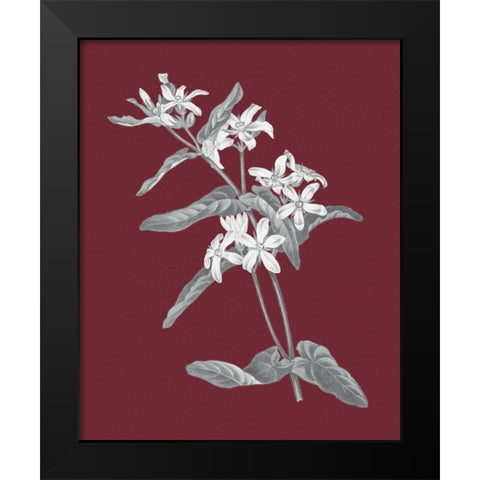Pomegranate Botanical IV Black Modern Wood Framed Art Print by Wild Apple Portfolio