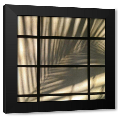 Palm Window Black Modern Wood Framed Art Print with Double Matting by Goldstein, Ed