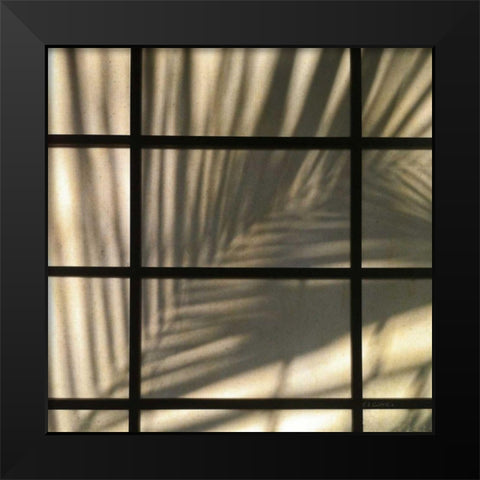 Palm Window Black Modern Wood Framed Art Print by Goldstein, Ed