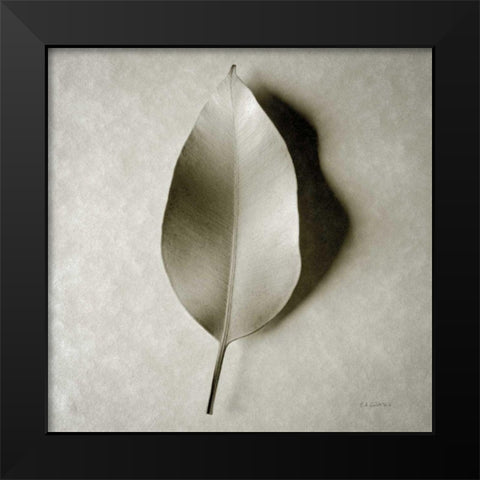 One Leaf Black Modern Wood Framed Art Print by Goldstein, Ed