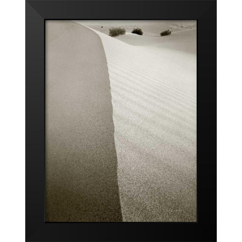 Desert Edge Black Modern Wood Framed Art Print by Goldstein, Ed