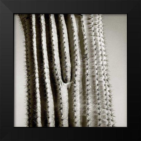 Cactus Star Black Modern Wood Framed Art Print by Goldstein, Ed