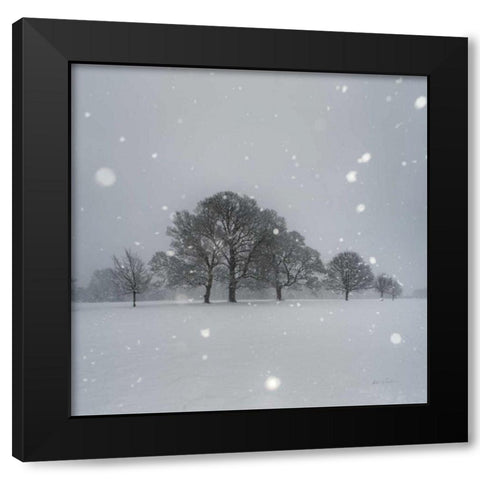 Trees in Snow Black Modern Wood Framed Art Print with Double Matting by Eichman, Andre