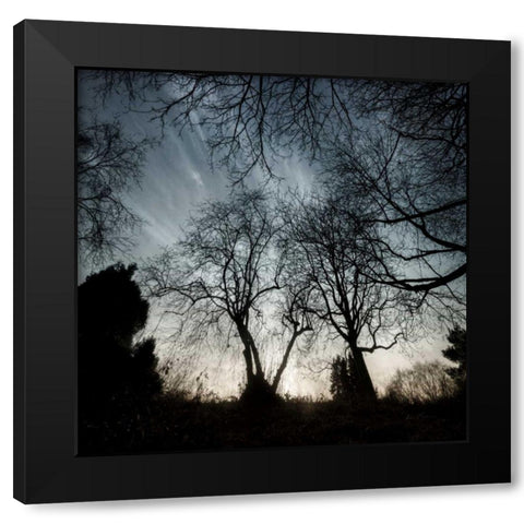 Looking Up Black Modern Wood Framed Art Print by Eichman, Andre
