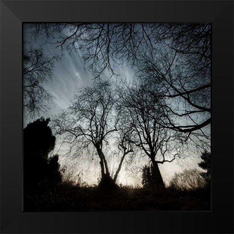 Looking Up Black Modern Wood Framed Art Print by Eichman, Andre