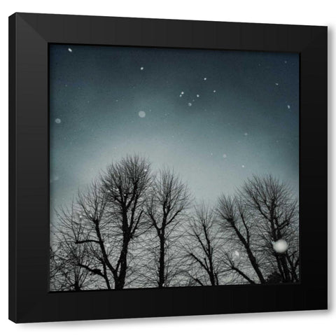 Winter Sky Black Modern Wood Framed Art Print with Double Matting by Eichman, Andre