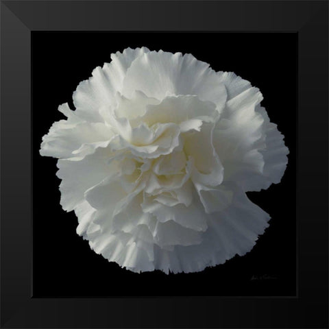 Floral Majesty III Black Modern Wood Framed Art Print by Eichman, Andre