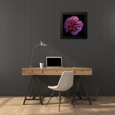 Floral Majesty IV Black Modern Wood Framed Art Print by Eichman, Andre