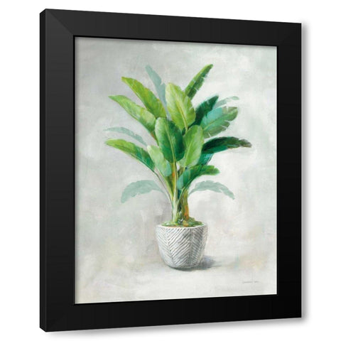 Greenhouse Palm II Black Modern Wood Framed Art Print with Double Matting by Nai, Danhui