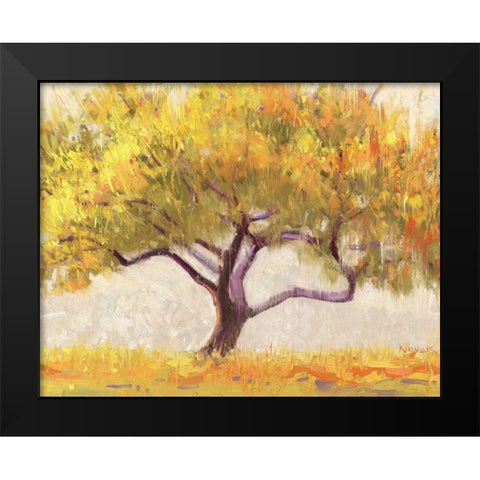 Apricot Tree Black Modern Wood Framed Art Print by Novak, Shirley