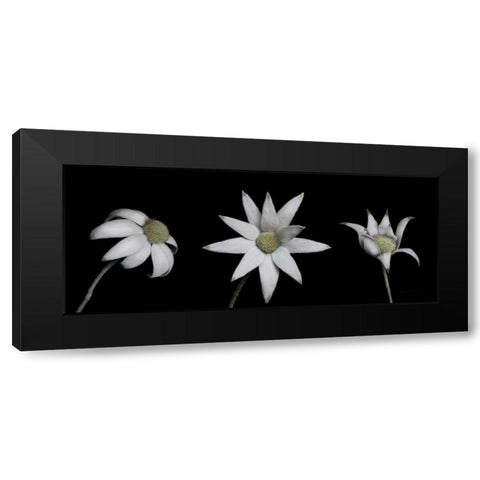 Flannel Flower Trio Black Modern Wood Framed Art Print with Double Matting by Catterall, Elise