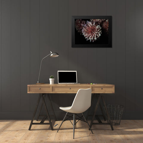 Peach Dahlias Black Modern Wood Framed Art Print by Catterall, Elise