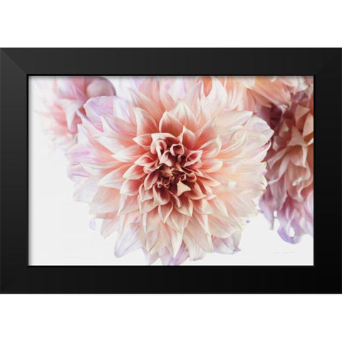 Peach Dahlias Light Black Modern Wood Framed Art Print by Catterall, Elise