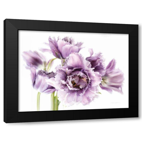 Purple Fringed Tulips I Black Modern Wood Framed Art Print with Double Matting by Catterall, Elise