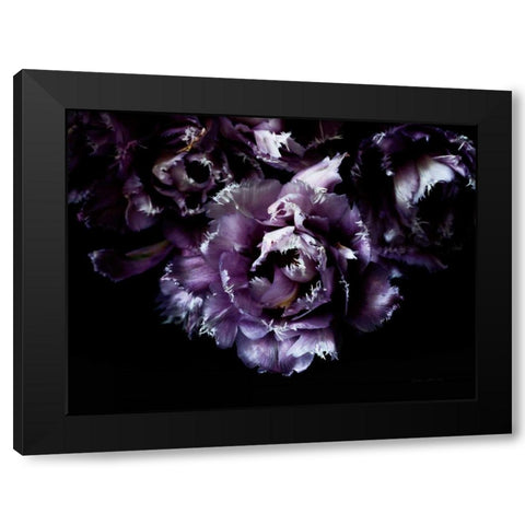 Purple Fringed Tulips II Black Modern Wood Framed Art Print with Double Matting by Catterall, Elise