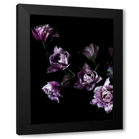 Purple Fringed Tulips III Black Modern Wood Framed Art Print with Double Matting by Catterall, Elise