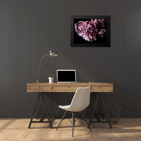 Pink Double Tulips Black Modern Wood Framed Art Print by Catterall, Elise