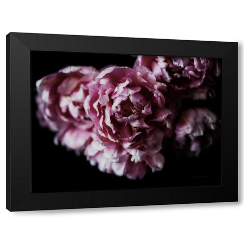 Pink Double Tulips Black Modern Wood Framed Art Print by Catterall, Elise