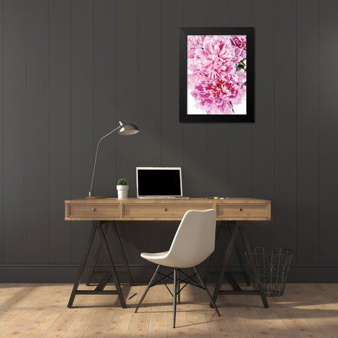 Pink Peony Cluster Black Modern Wood Framed Art Print by Catterall, Elise