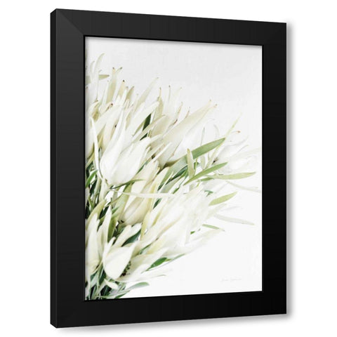 Leucadendron Black Modern Wood Framed Art Print with Double Matting by Catterall, Elise