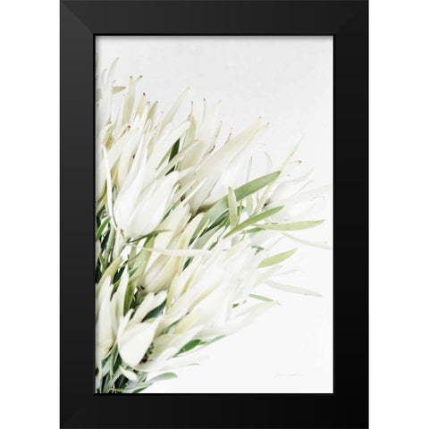 Leucadendron Black Modern Wood Framed Art Print by Catterall, Elise
