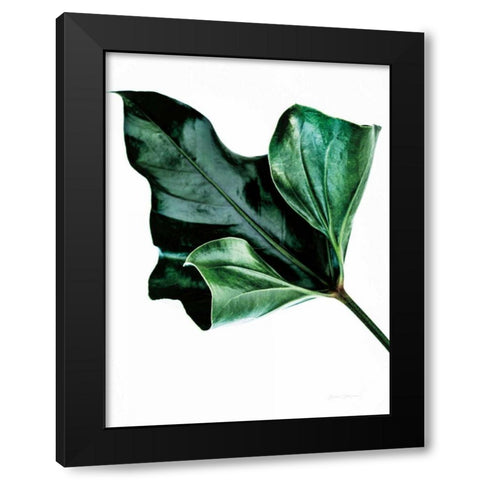 Monstera Black Modern Wood Framed Art Print with Double Matting by Catterall, Elise