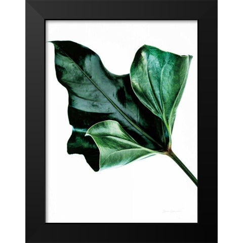Monstera Black Modern Wood Framed Art Print by Catterall, Elise