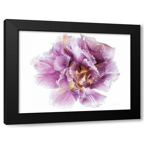 Purple Double Open Black Modern Wood Framed Art Print with Double Matting by Catterall, Elise