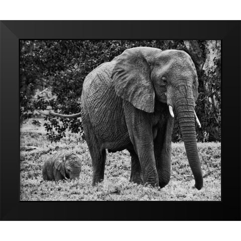 Mama and Baby Elephant I Black Modern Wood Framed Art Print by Aledanda