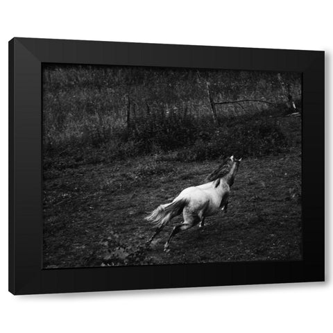 Running Horse Black Modern Wood Framed Art Print with Double Matting by Aledanda