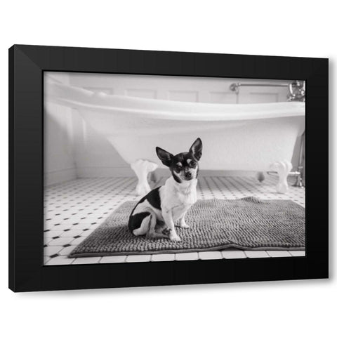 Bath Time Black Modern Wood Framed Art Print with Double Matting by Aledanda