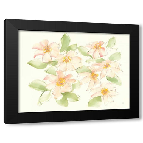 Creme Clematis Black Modern Wood Framed Art Print with Double Matting by Paschke, Chris