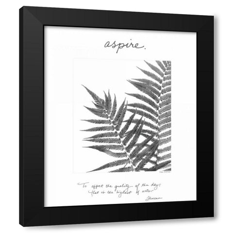 Aspire Black Modern Wood Framed Art Print with Double Matting by Van Swearingen, Debra