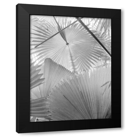 Leaf Abstract II Black Modern Wood Framed Art Print with Double Matting by Goldstein, Ed