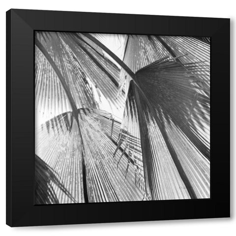 Leaf Abstract III Black Modern Wood Framed Art Print with Double Matting by Goldstein, Ed