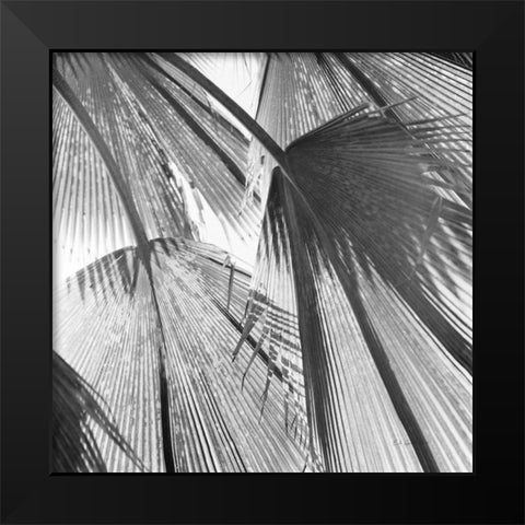 Leaf Abstract III Black Modern Wood Framed Art Print by Goldstein, Ed