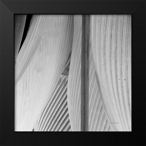 Leaf Abstract IV Black Modern Wood Framed Art Print by Goldstein, Ed