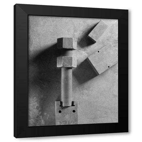 Bridge Bolts Black Modern Wood Framed Art Print with Double Matting by Goldstein, Ed