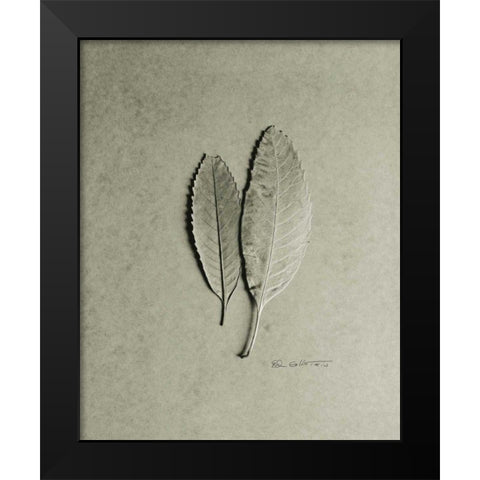 Serrated Duo Black Modern Wood Framed Art Print by Goldstein, Ed