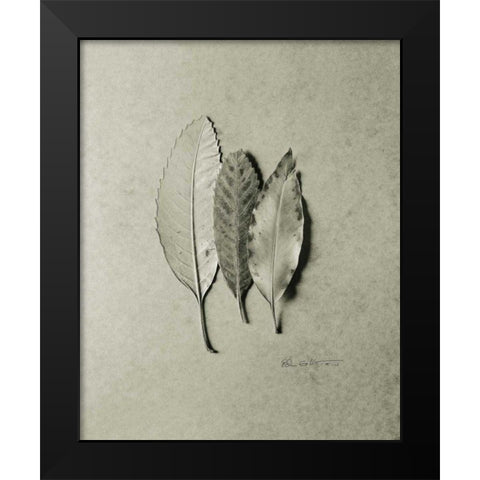 Serrated Trio Black Modern Wood Framed Art Print by Goldstein, Ed