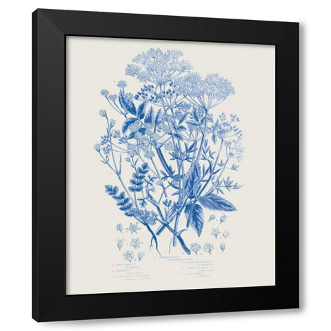 Flowering Plants I Mid Blue Black Modern Wood Framed Art Print by Wild Apple Portfolio