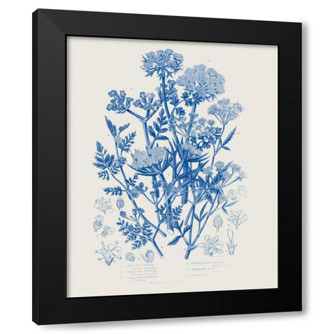 Flowering Plants IV Mid Blue Black Modern Wood Framed Art Print with Double Matting by Wild Apple Portfolio