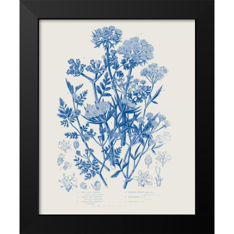 Flowering Plants IV Mid Blue Black Modern Wood Framed Art Print by Wild Apple Portfolio