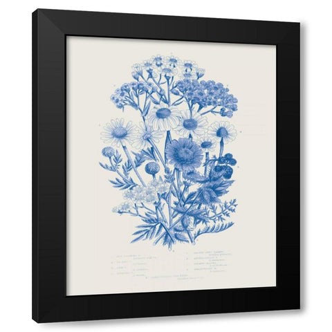Flowering Plants V Mid Blue Black Modern Wood Framed Art Print by Wild Apple Portfolio