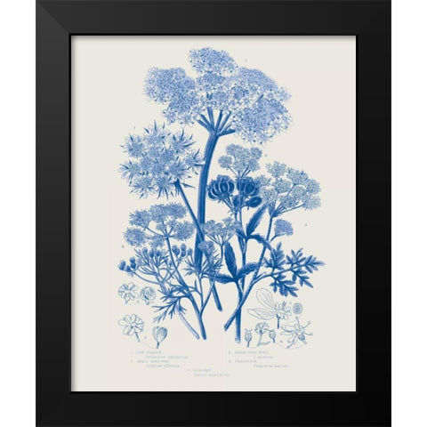 Flowering Plants VI Mid Blue Black Modern Wood Framed Art Print by Wild Apple Portfolio