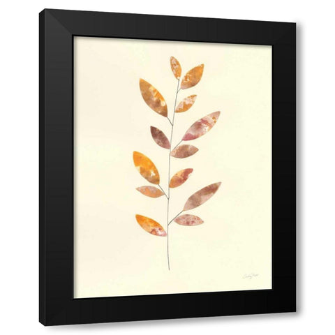 Natural Wonder V Black Modern Wood Framed Art Print with Double Matting by Prahl, Courtney