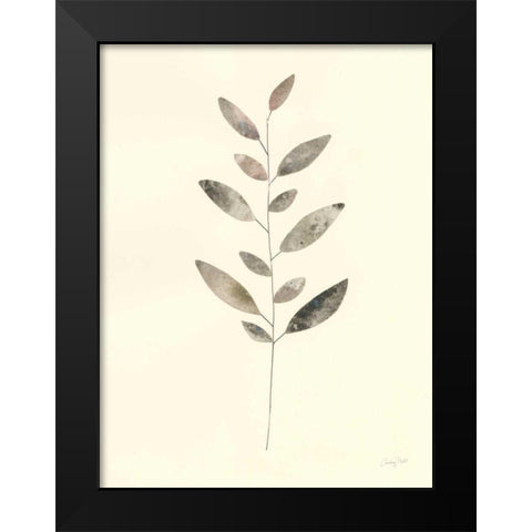 Natural Wonder VI Black Modern Wood Framed Art Print by Prahl, Courtney