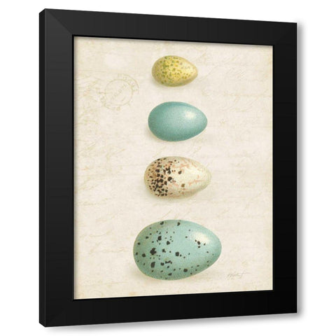 Bird Eggs II Crop Black Modern Wood Framed Art Print with Double Matting by Pertiet, Katie